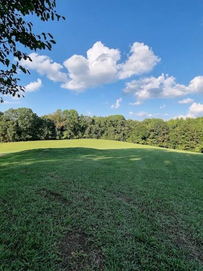 Dog Park at Leita Thompson - Roswell, GA
