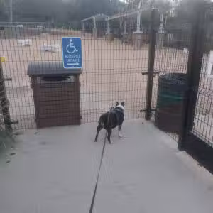 Schabarum Dog Park - Rowland Heights, CA