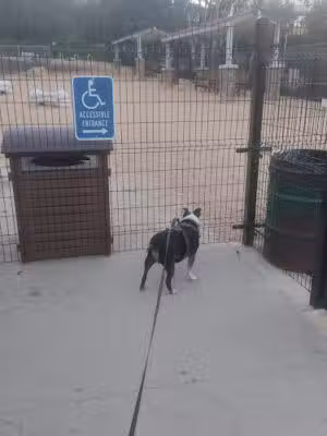 Schabarum Dog Park - Rowland Heights, CA