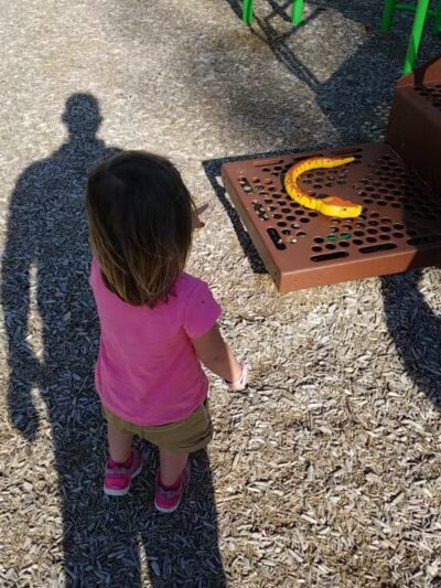 Clawson Park - Royal Oak,