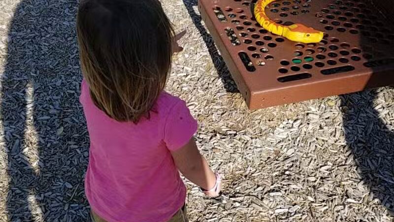 Clawson Park - Royal Oak,