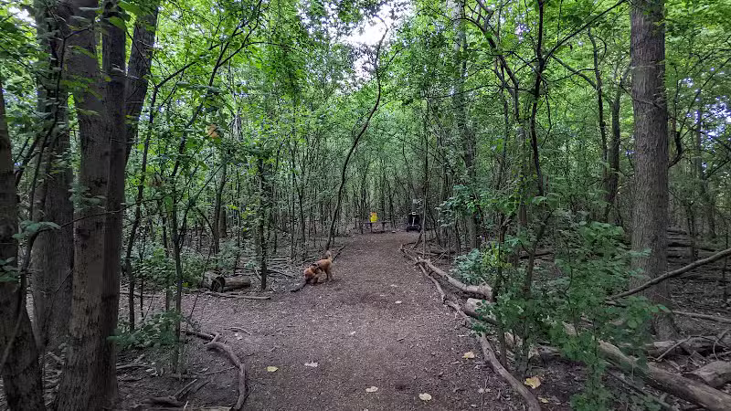 Mark Twain Dog Park-membership - Royal Oak, MI