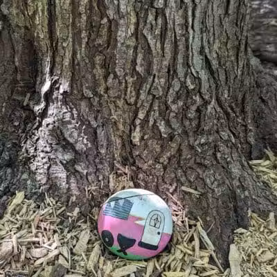 Mark Twain Dog Park-membership - Royal Oak, MI