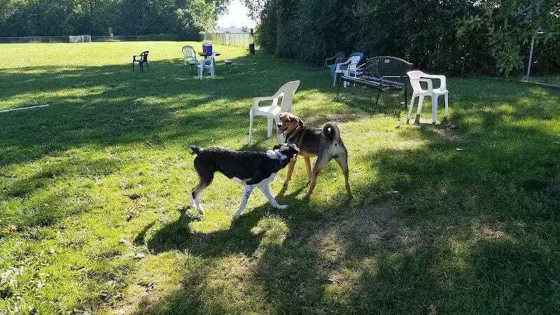 Mark Twain Dog Park-membership - Royal Oak, MI