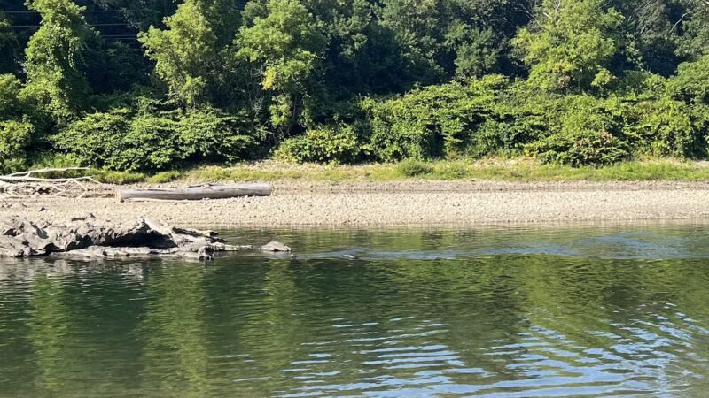 South Royalton - Royalton, VT