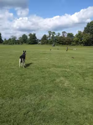 Limerick Community Park - Royersford, PA