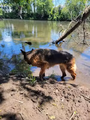 Royersford Riverfront Park - Royersford, PA