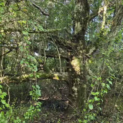 Greene Community Park - Ruckersville, VA