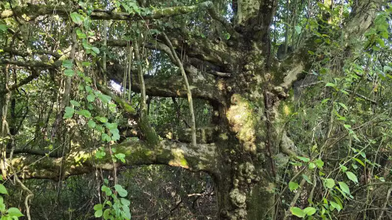 Greene Community Park - Ruckersville, VA