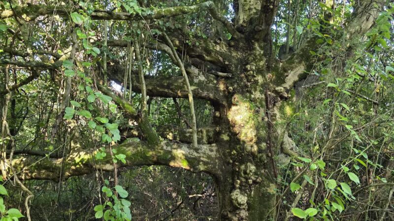 Greene Community Park - Ruckersville, VA