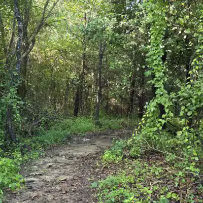 Greene Community Park - Ruckersville, VA