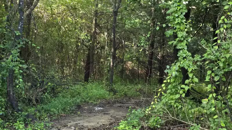 Greene Community Park - Ruckersville, VA