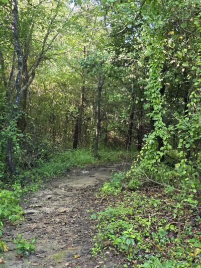 Greene Community Park - Ruckersville, VA