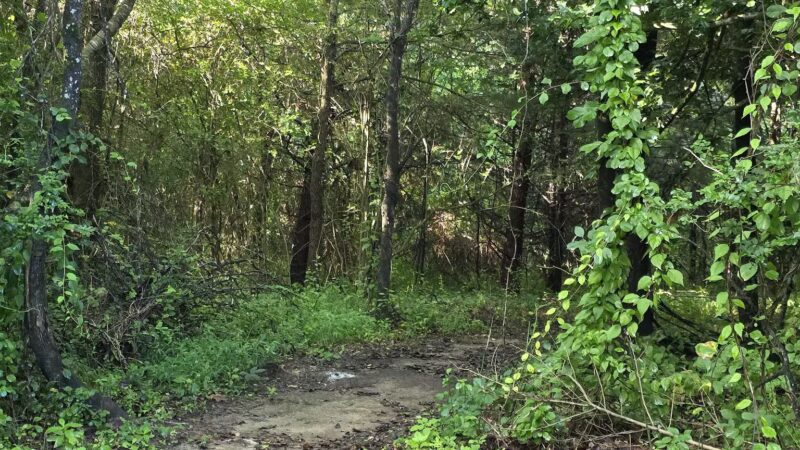 Greene Community Park - Ruckersville, VA