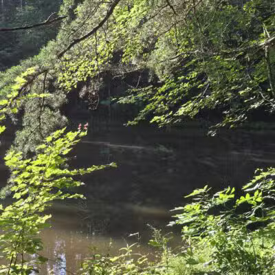Greene Community Park - Ruckersville, VA