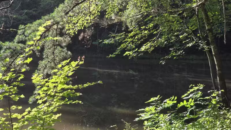 Greene Community Park - Ruckersville, VA