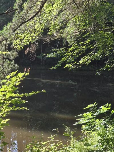 Greene Community Park - Ruckersville, VA