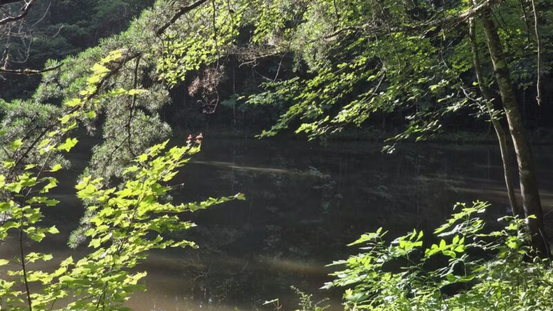 Greene Community Park - Ruckersville, VA