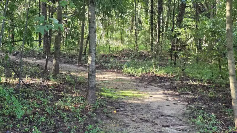 Greene Community Park - Ruckersville, VA