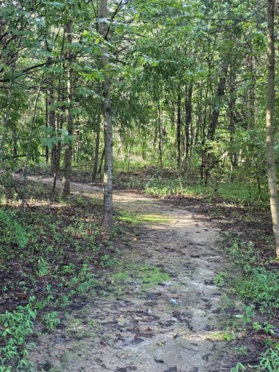 Greene Community Park - Ruckersville, VA