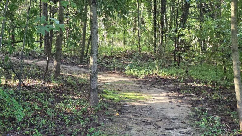 Greene Community Park - Ruckersville, VA