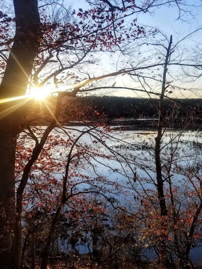 Oxbow Nature Preserve Lake Trail - Russett, MD
