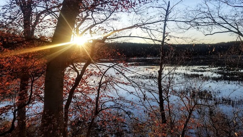 Oxbow Nature Preserve Lake Trail - Russett, MD