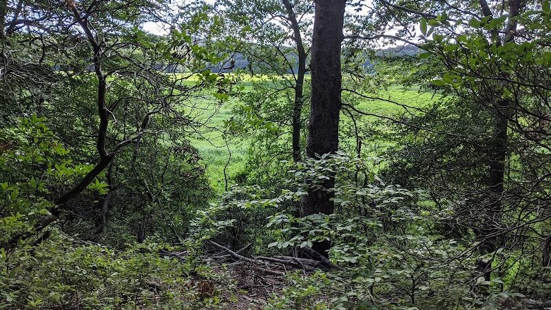 Oxbow Nature Preserve Lake Trail - Russett, MD