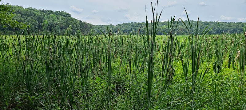 Oxbow Nature Preserve Lake Trail - Russett, MD