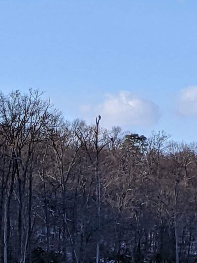 Oxbow Nature Preserve Lake Trail - Russett, MD