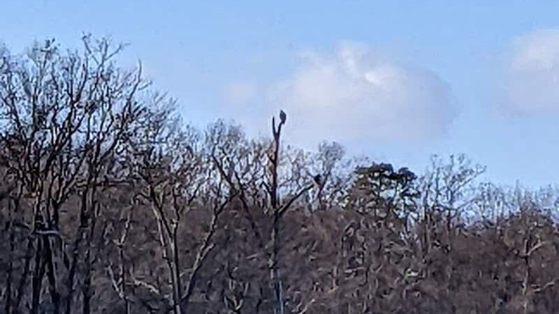 Oxbow Nature Preserve Lake Trail - Russett, MD