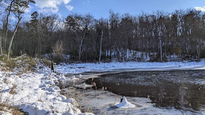 Oxbow Nature Preserve Lake Trail - Russett, MD