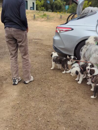 Monte Rio Public Beach - RUSSIAN RIVER, CA