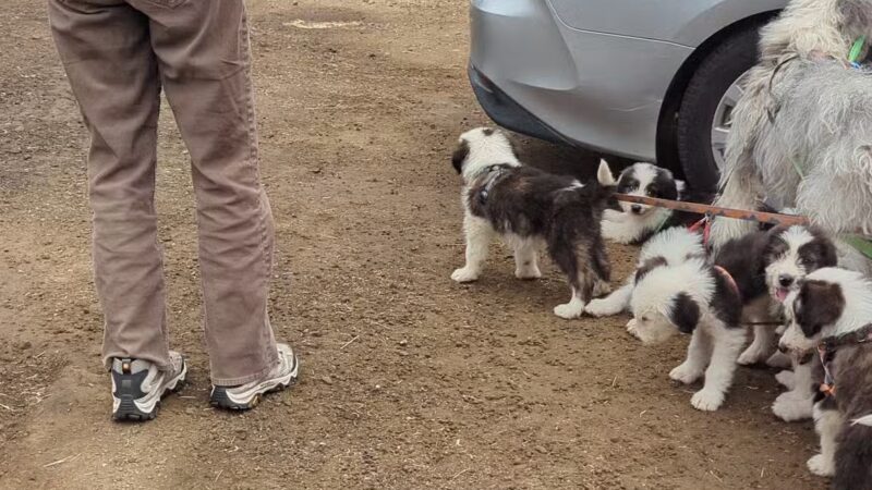 Monte Rio Public Beach - RUSSIAN RIVER, CA