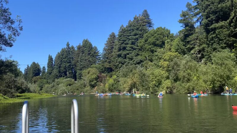 Monte Rio Public Beach - RUSSIAN RIVER, CA