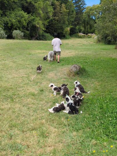 Monte Rio Public Beach - RUSSIAN RIVER, CA
