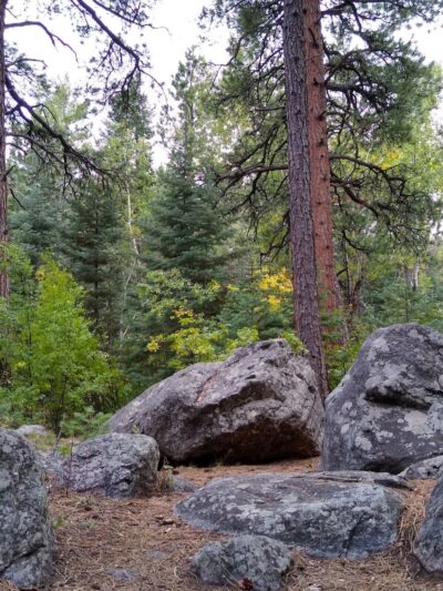 Rye Mountain Park - Rye, CO