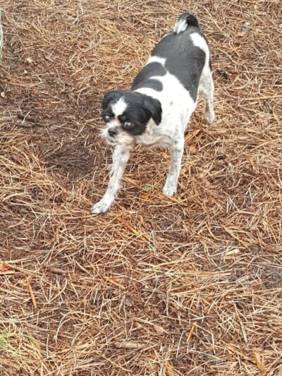 Rye Mountain Park - Rye, CO