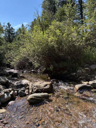 Rye Mountain Park - Rye, CO