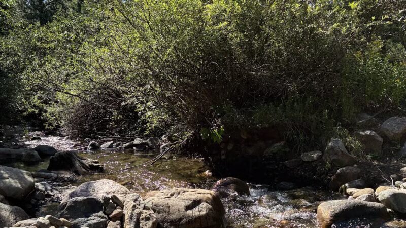 Rye Mountain Park - Rye, CO