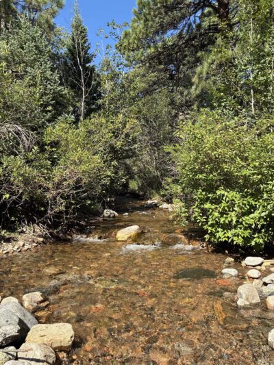 Rye Mountain Park - Rye, CO