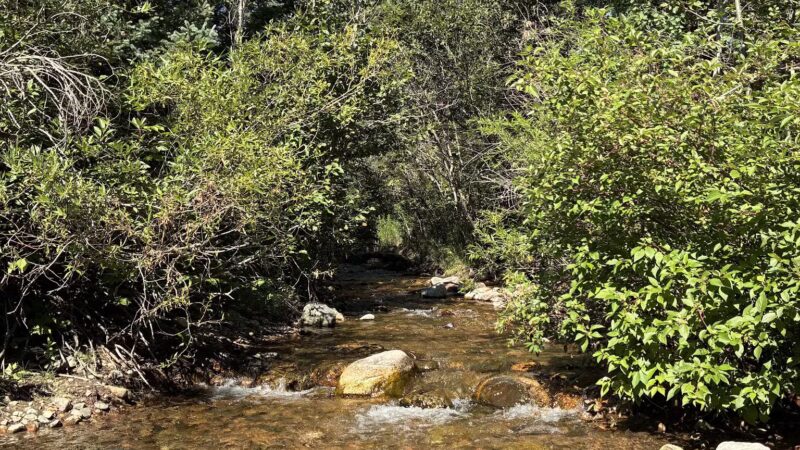 Rye Mountain Park - Rye, CO