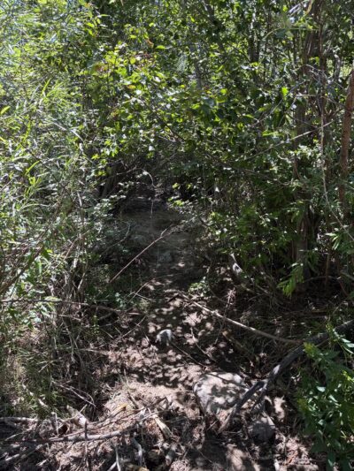 Rye Mountain Park - Rye, CO