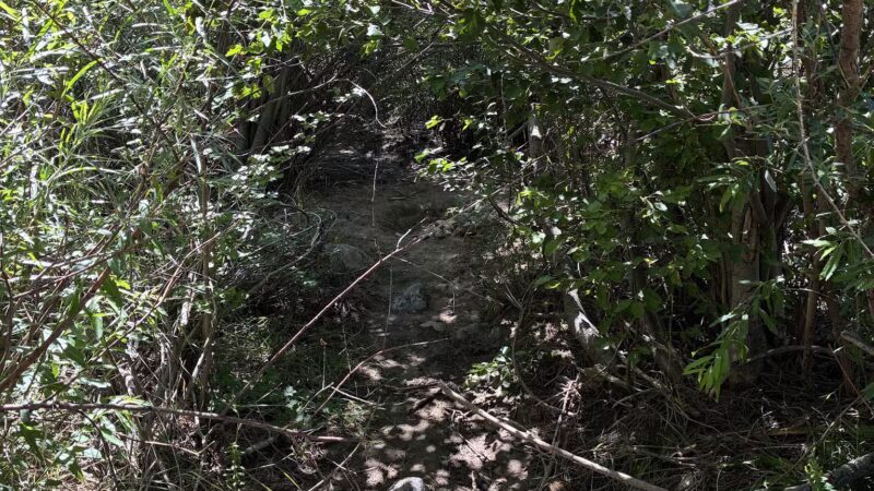 Rye Mountain Park - Rye, CO