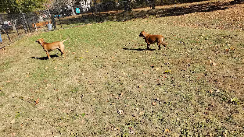 Saco Dog Park - Saco, ME