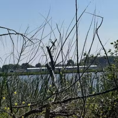 Bay-Zil Rail Trail - Saginaw, MI