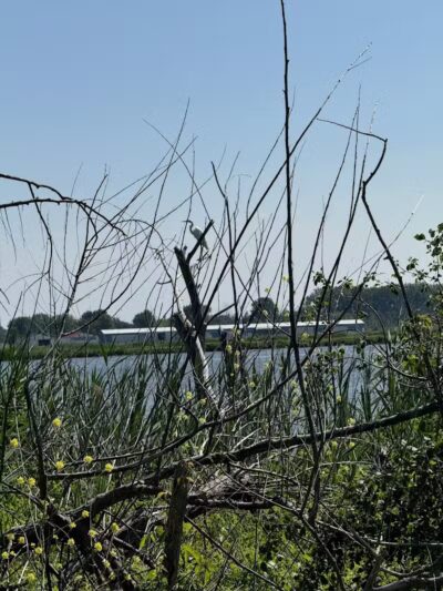 Bay-Zil Rail Trail - Saginaw, MI