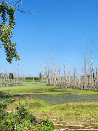 Bay-Zil Rail Trail - Saginaw, MI