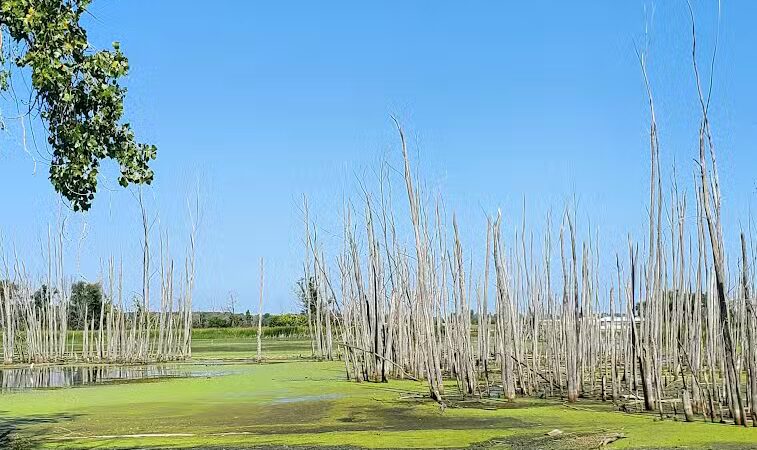 Bay-Zil Rail Trail - Saginaw, MI