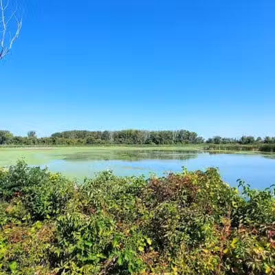Bay-Zil Rail Trail - Saginaw, MI